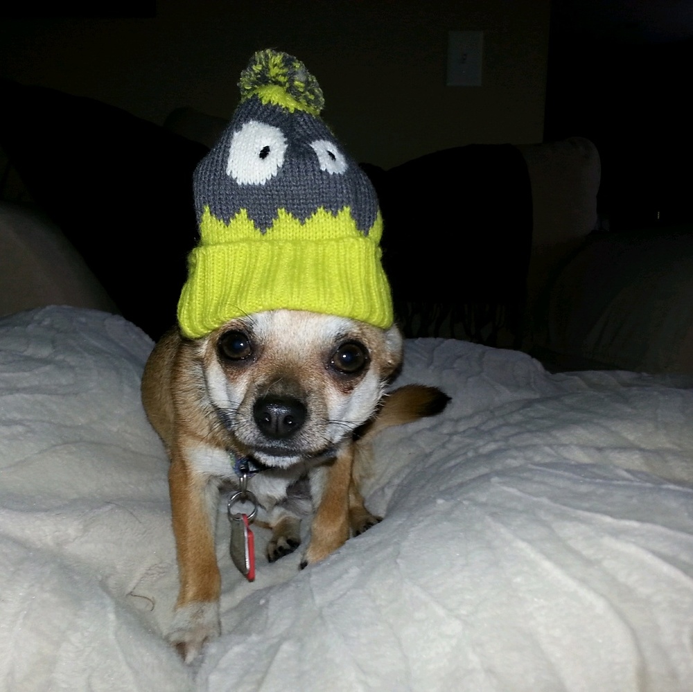 Meet your Posher, Stephanie